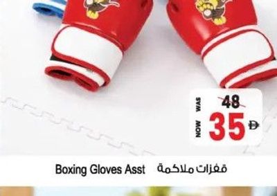 Boxing Gloves Asst