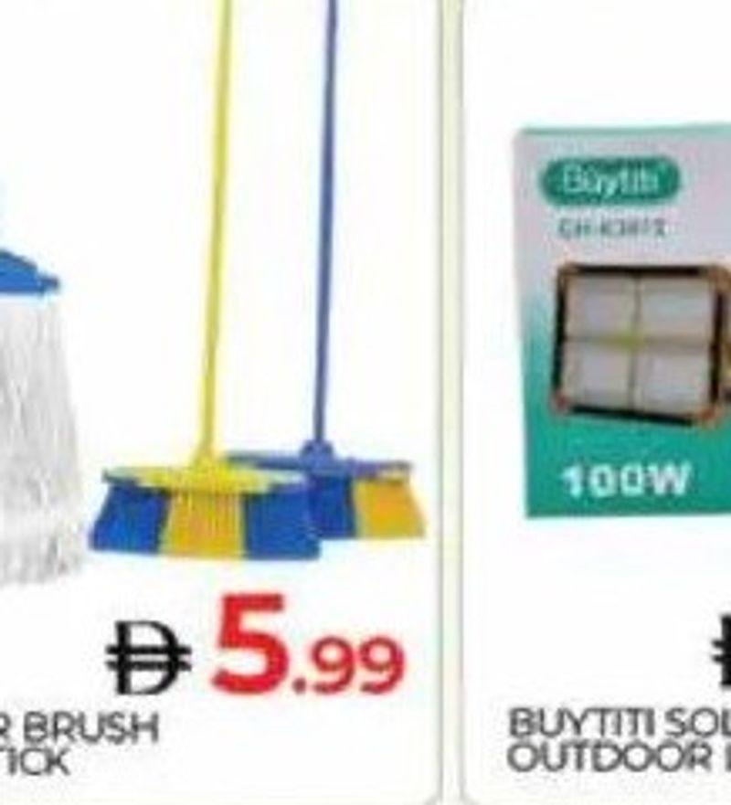 Mop or Brush with Stick