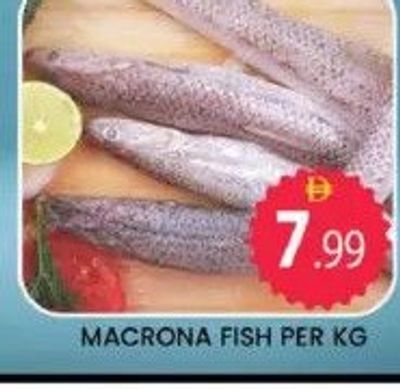 MACRONA FISH PER KG