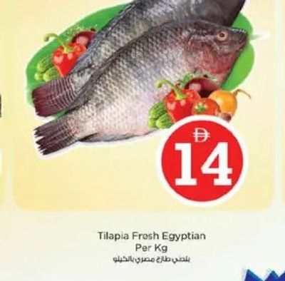 Tilapia Fresh Egyptian Per Kg