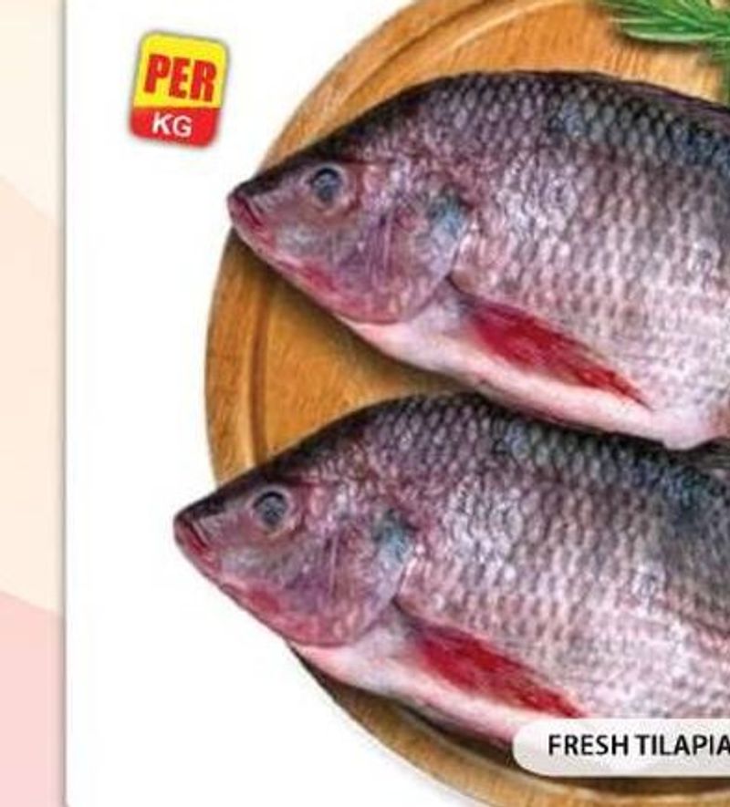 Fresh Tilapia /KG