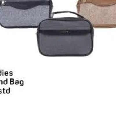 Ladies Hand Bag Asstd