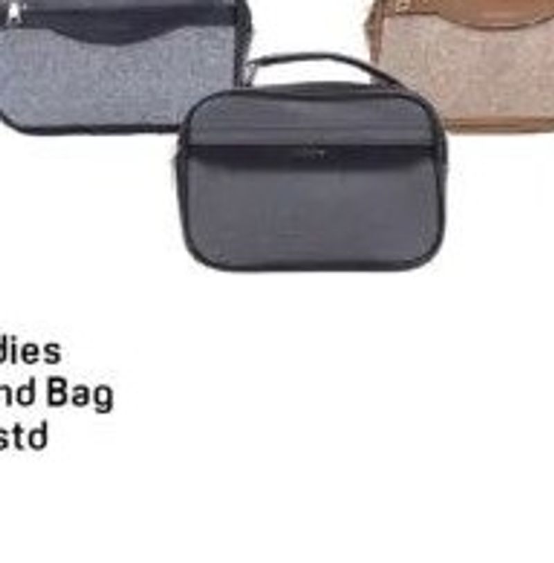 Ladies Hand Bag Asstd