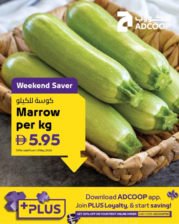 Big Saver