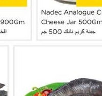 Guava Vietnam per kg