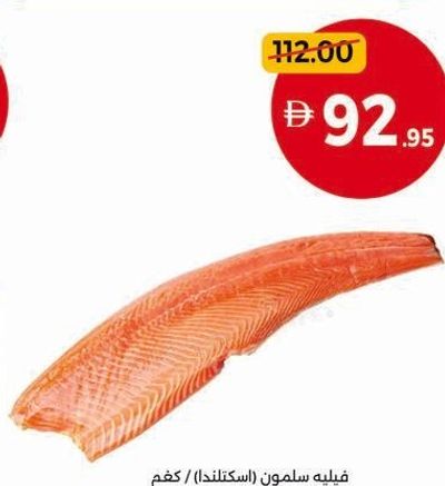 Salmon Fillet (Scotland) / Kg