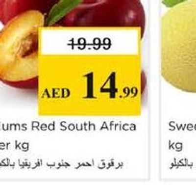 Plums Red South Africa per kg