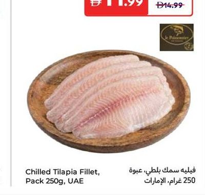 Chilled Tilapia Fillet, Pack 250g, UAE