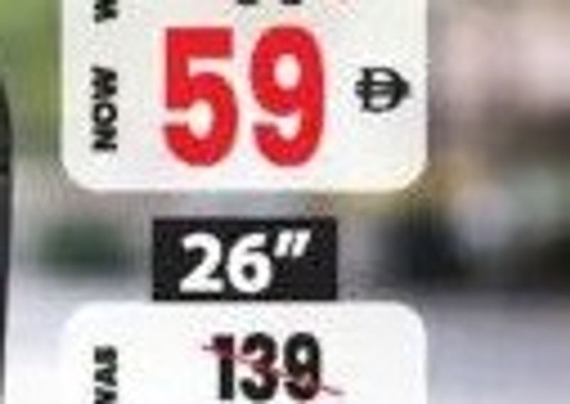 4 Wheel Trolley Bag Asst 28"