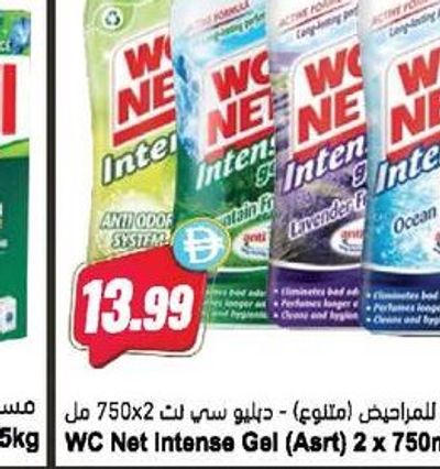 WC Net Intense Gel (Asrt) 2 x 750ml