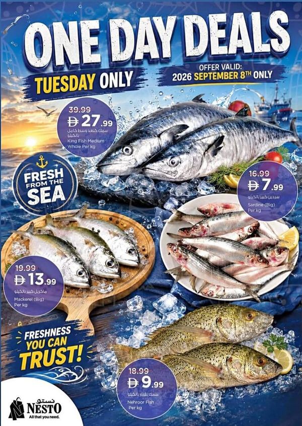 One Day Deals from Nesto until 8th September