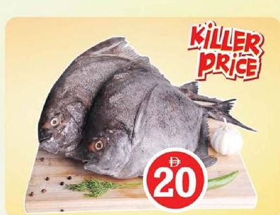 Black Pomfret Defrost Per Kg