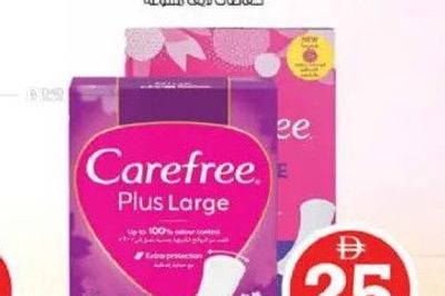 Carefree Plus Large Fresh Scent/Light Scent 2x48's