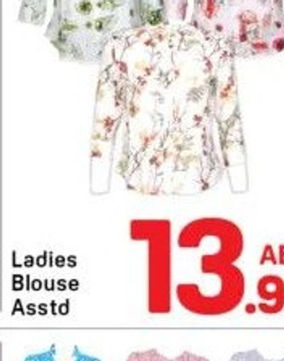 Ladies Blouse Asstd