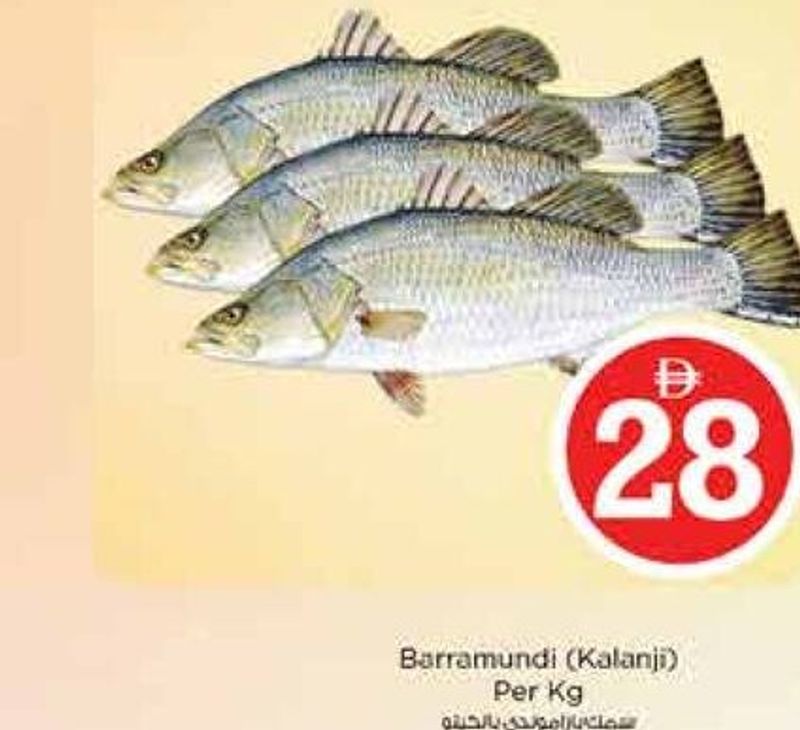 Barramundi (Kalanji) Per Kg