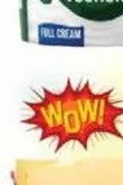 Holland Edam Ball Cheese 500gm