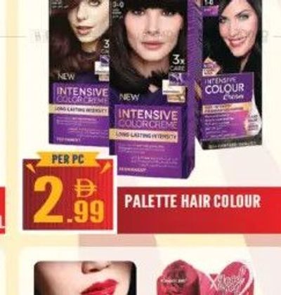 PALETTE HAIR COLOUR