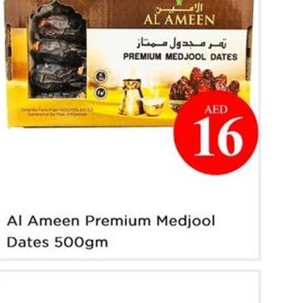 Al Ameen Premium Medjool Dates 500gm