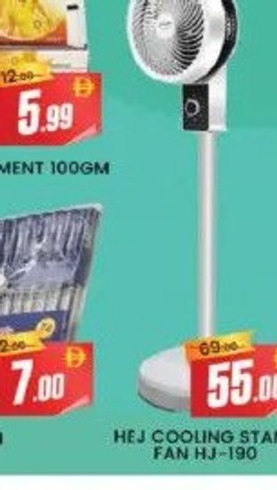 HEJ COOLING STAND FAN HJ-190