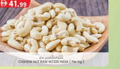 CASHEW NUT RAW W/320 INDIA (Per Kg)
