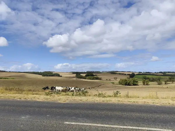 Inquiry into the supply of homes in regional Victoria