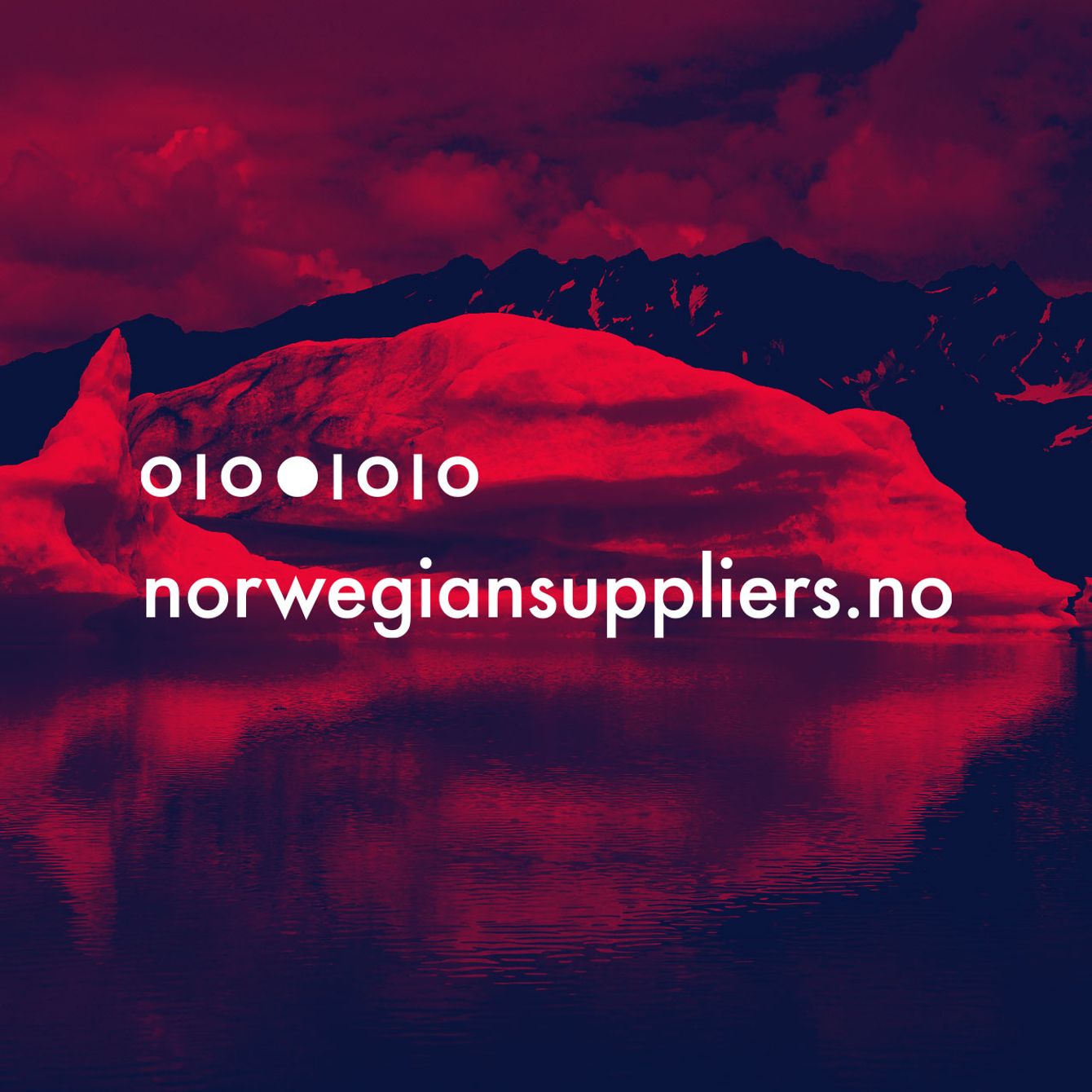 Skjermdump av Norwegiansuppliers.no