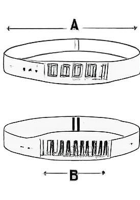 Insignia Belt image