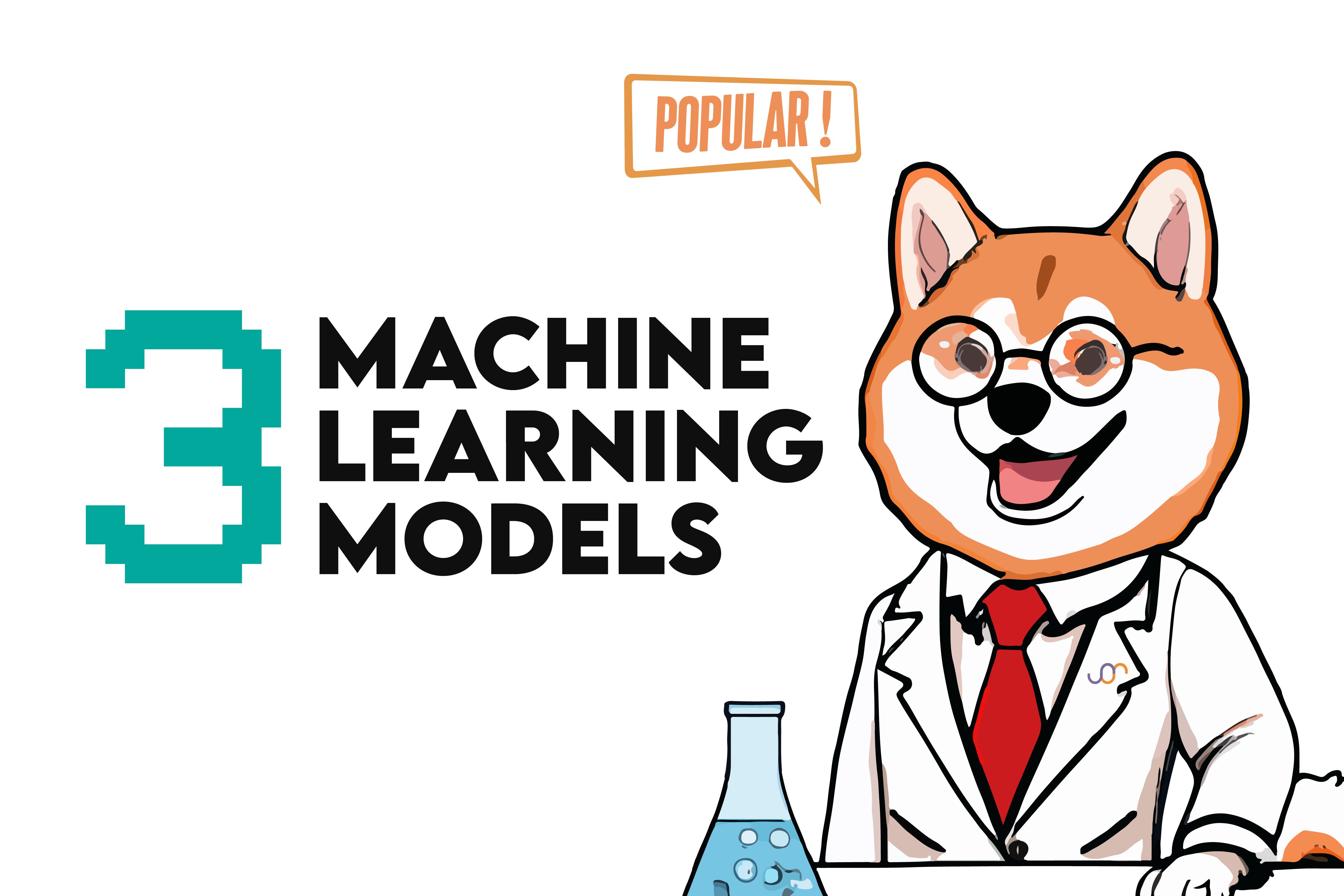 A Comprehensive Overview of 3 Popular Machine Learning Models