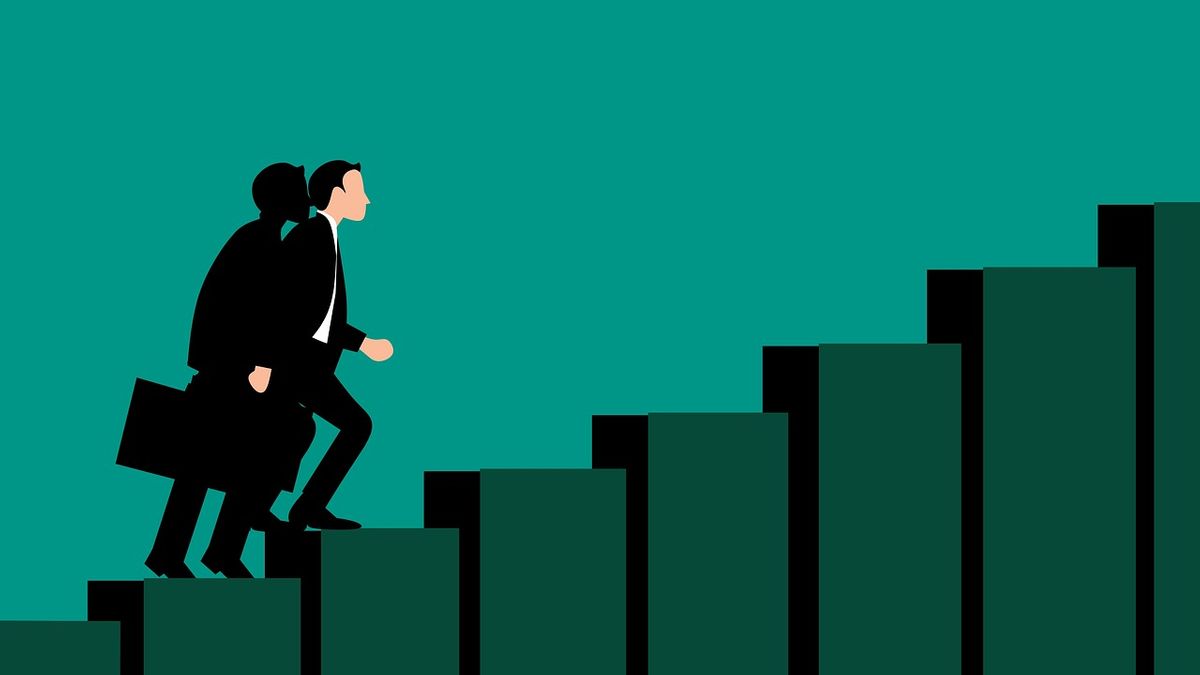 Data Scientist Career Path from Novice to First Job
