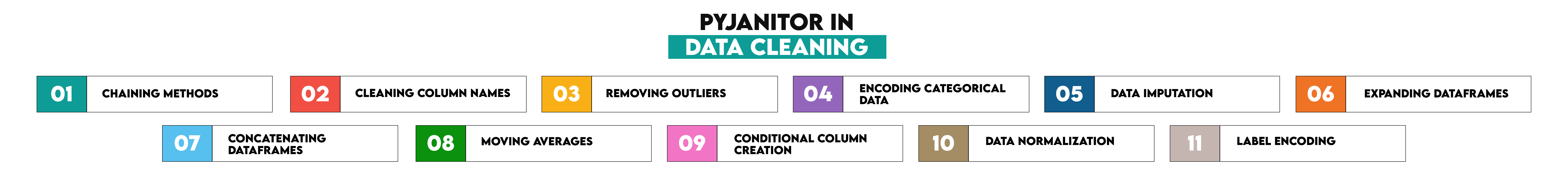 Pyjanitor in Data Cleaning