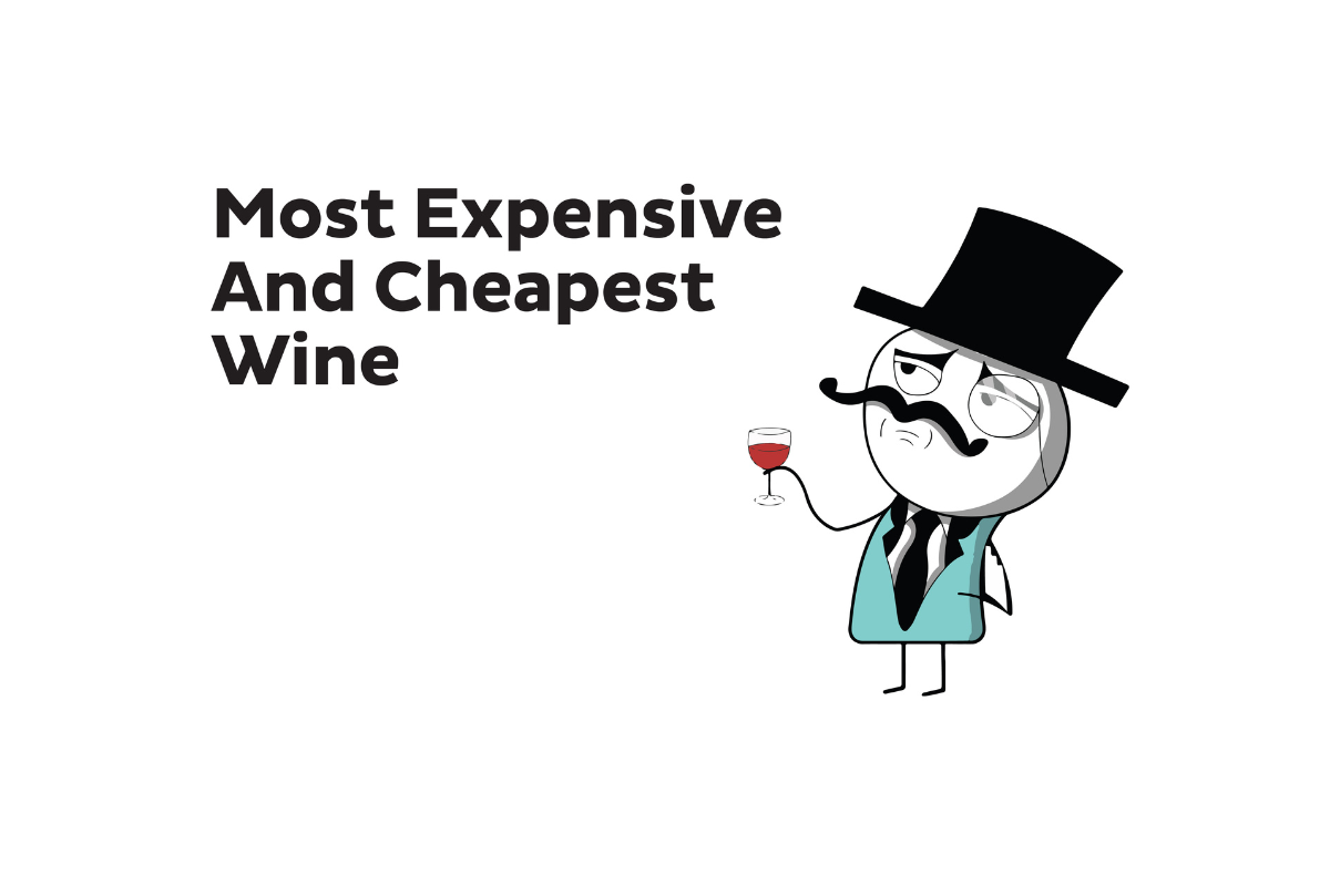 Wine Magazine SQL Interview Question on RANK function - StrataScratch