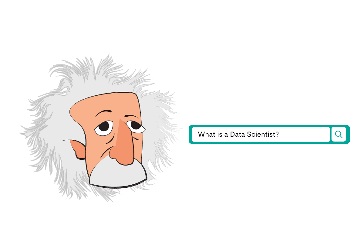 What is a Data Scientist