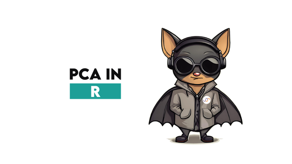 Principal Component Analysis in R Explained