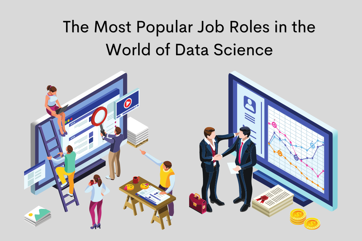 The Most Popular Data Science Roles