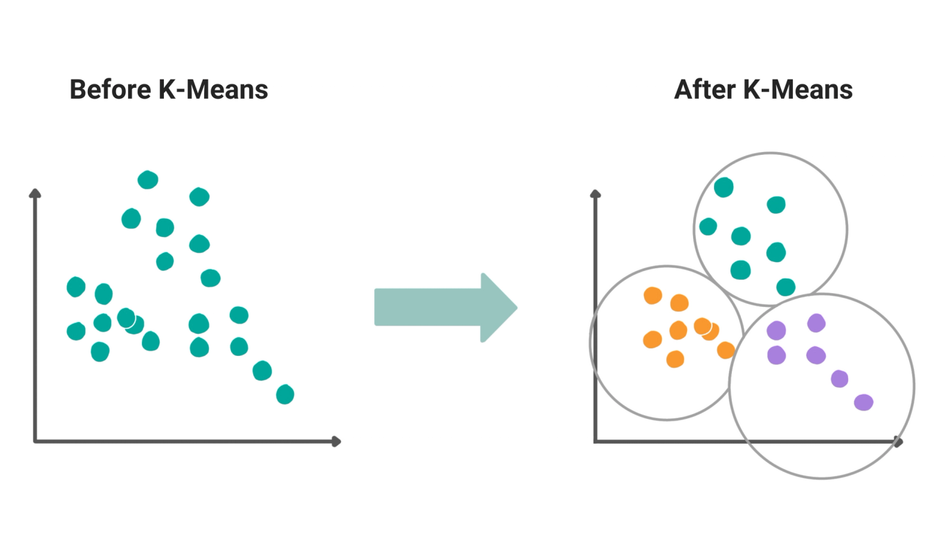 Machine Learning Algorithms You Should Know for Data Science ...