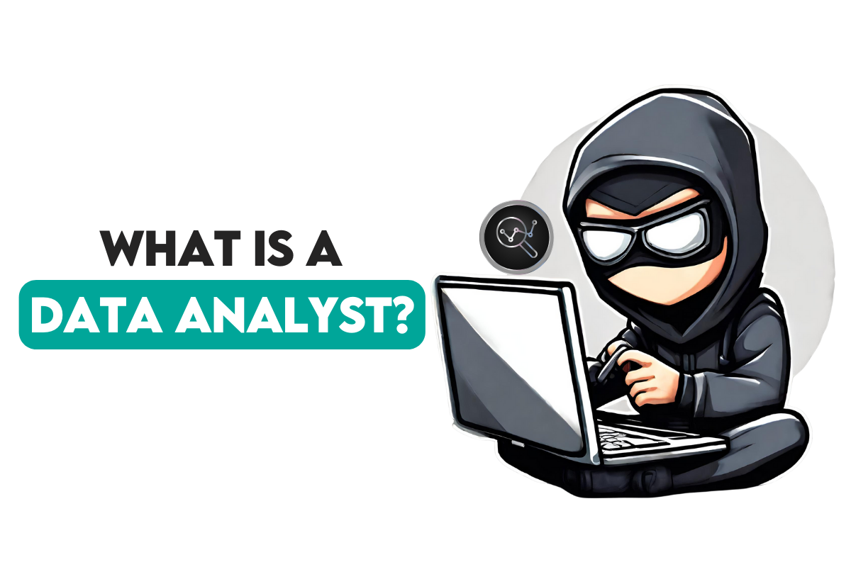 What is a Data Analyst