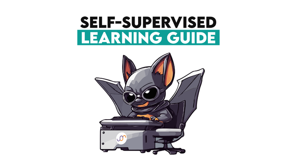 Self-Supervised Learning Guide