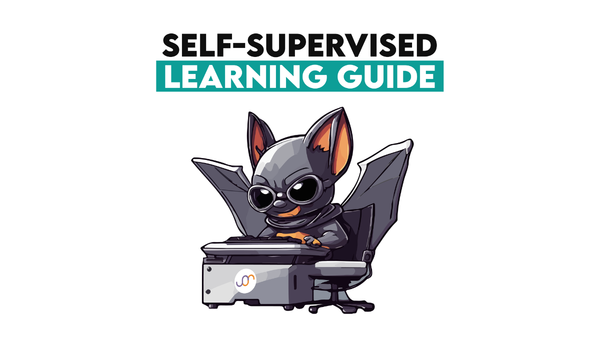 presentation and visualization description Self-Supervised Learning Guide