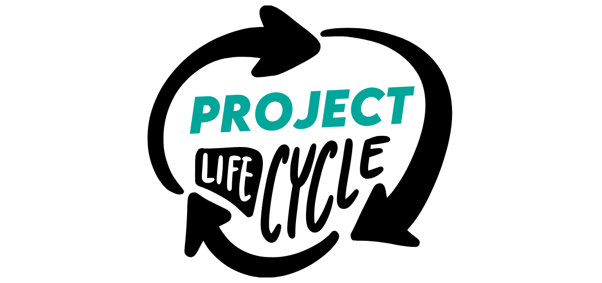 Data Mining Project Lifecycle