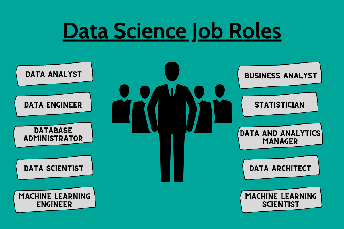 Types of Data Science Job Roles You Can Get