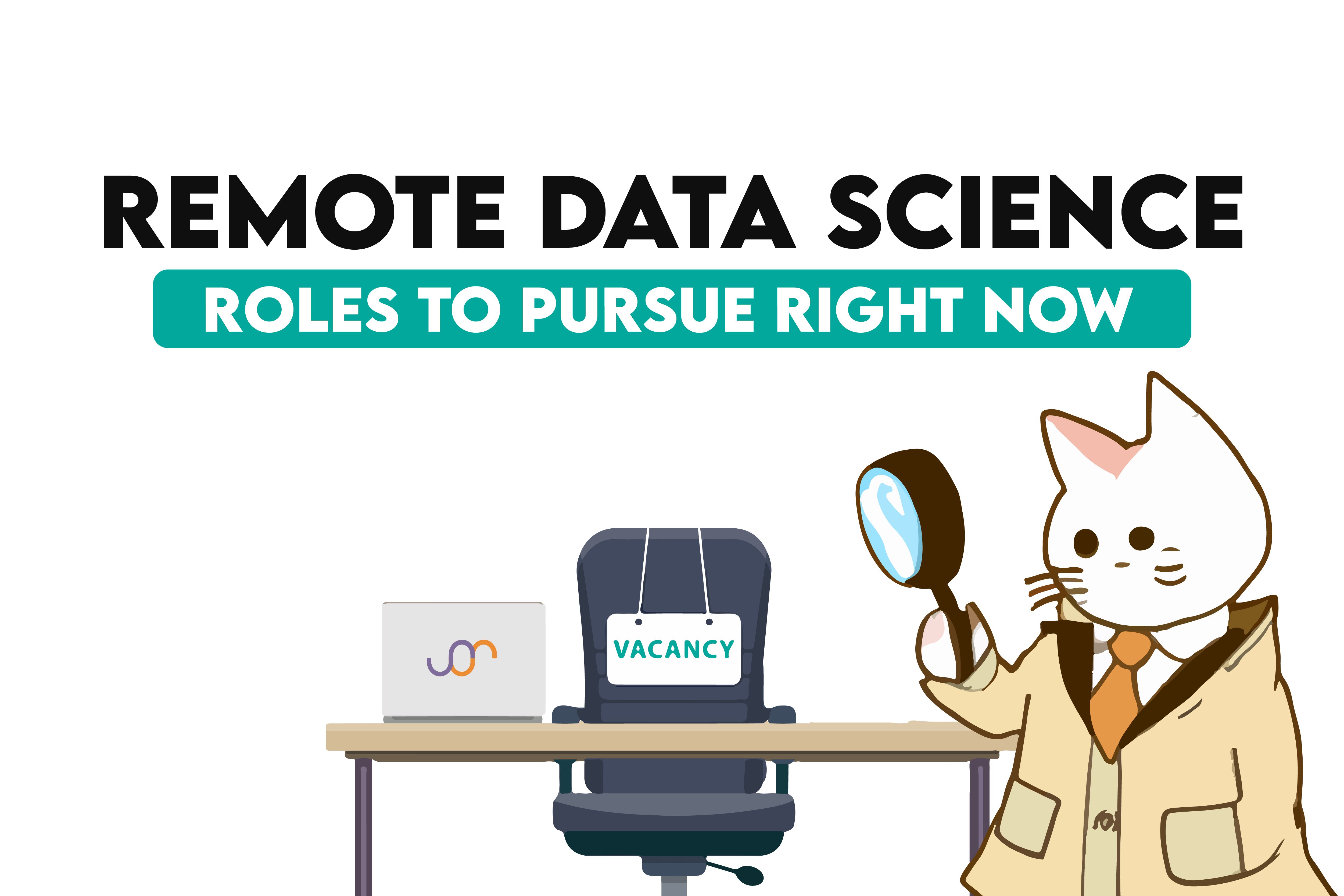 Remote Data Science Job Roles