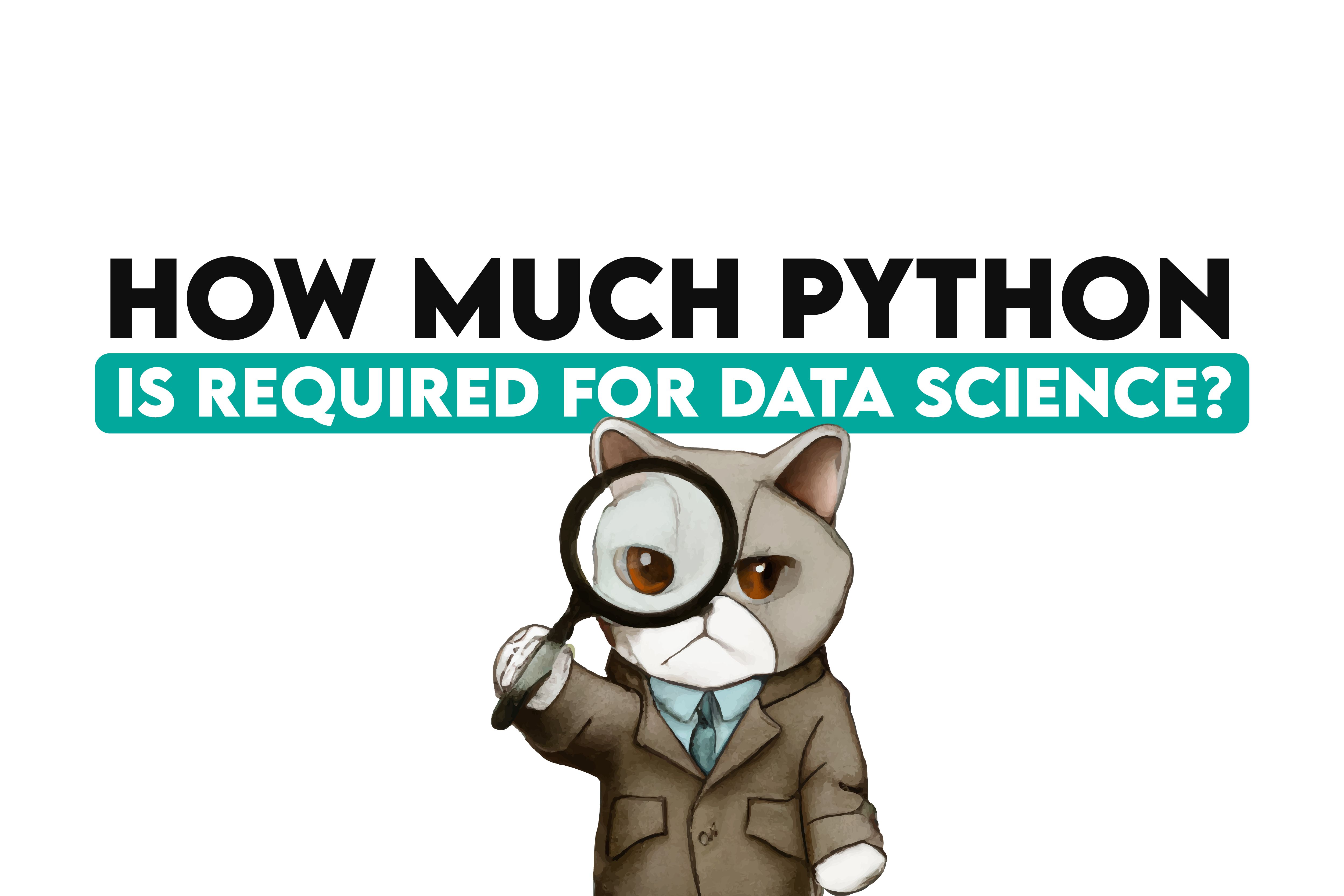 How Much Python is Required for Data Science