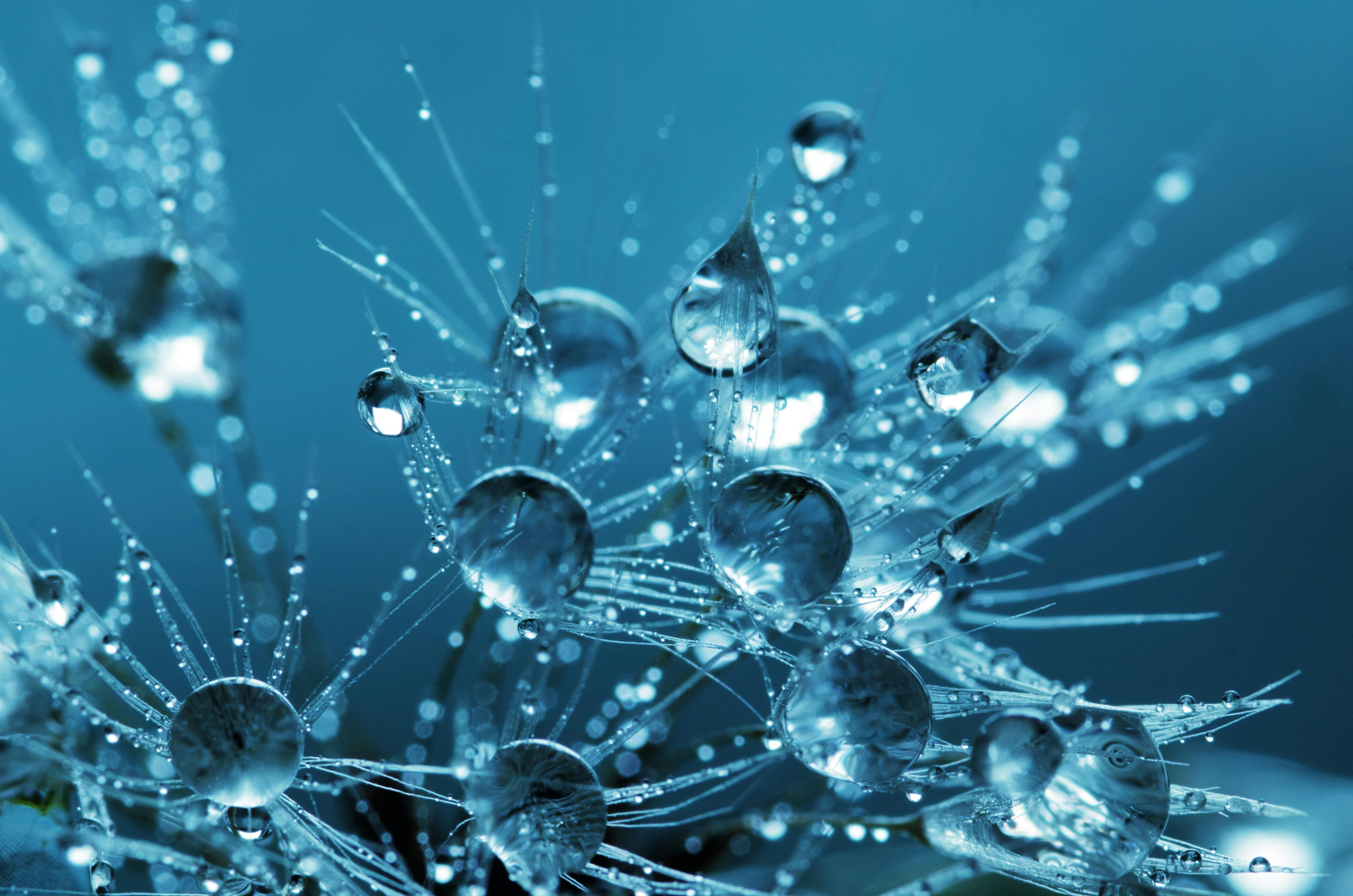 The Hidden Science of Psychic Energy: How Readings Reveal What’s Beyond the Physical