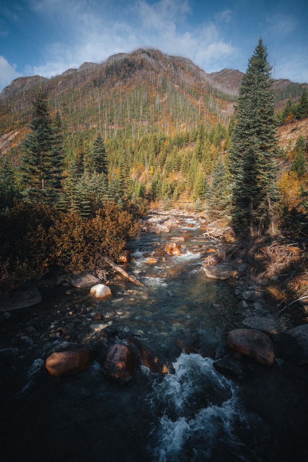 Floe Lake — gallery image