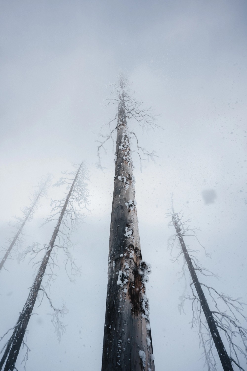 Vermillion Crossing Backcountry Skiing — gallery image