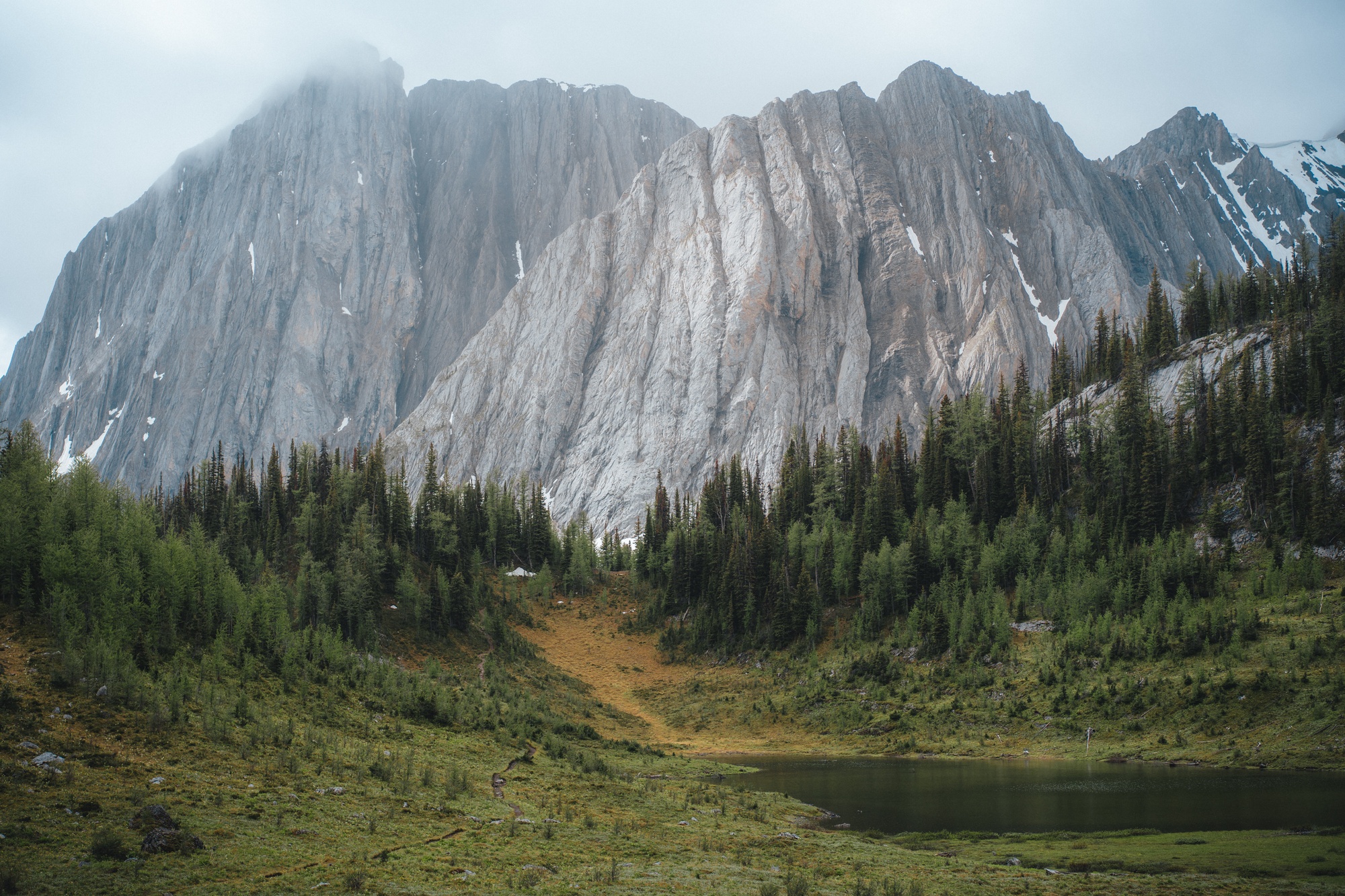 Haig Glacier Approach — project cover