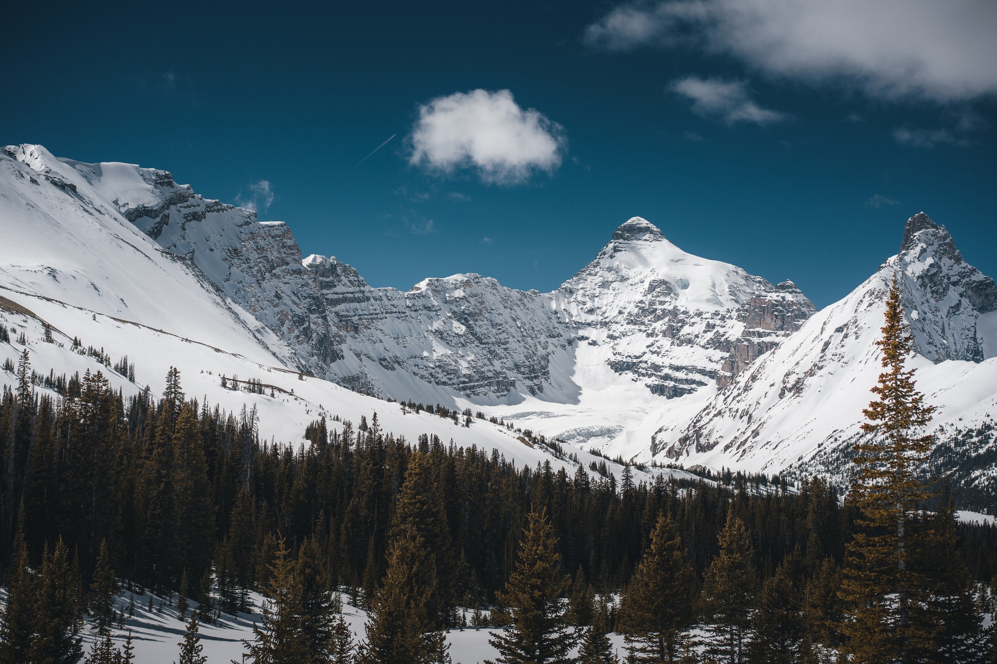 Icefields Parkway — project cover