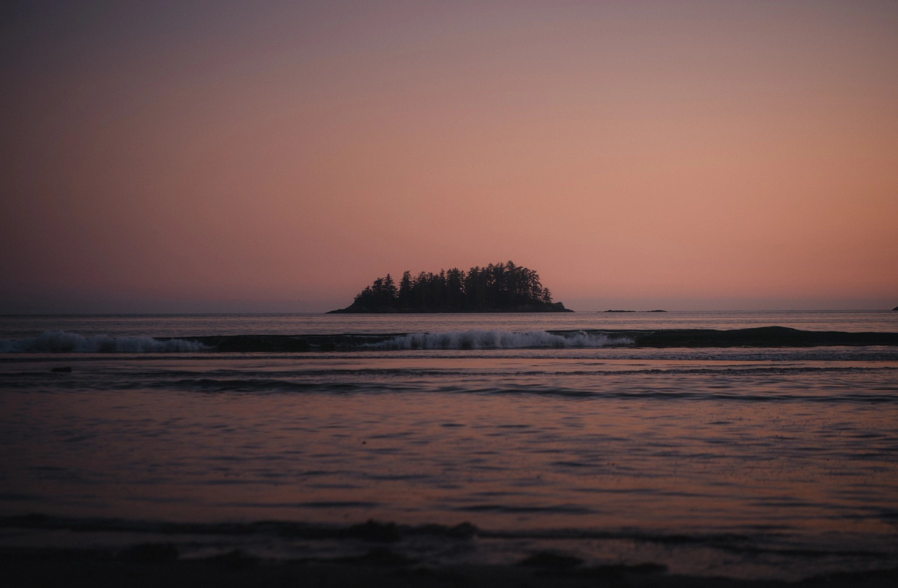 Mackenzie Beach — gallery image