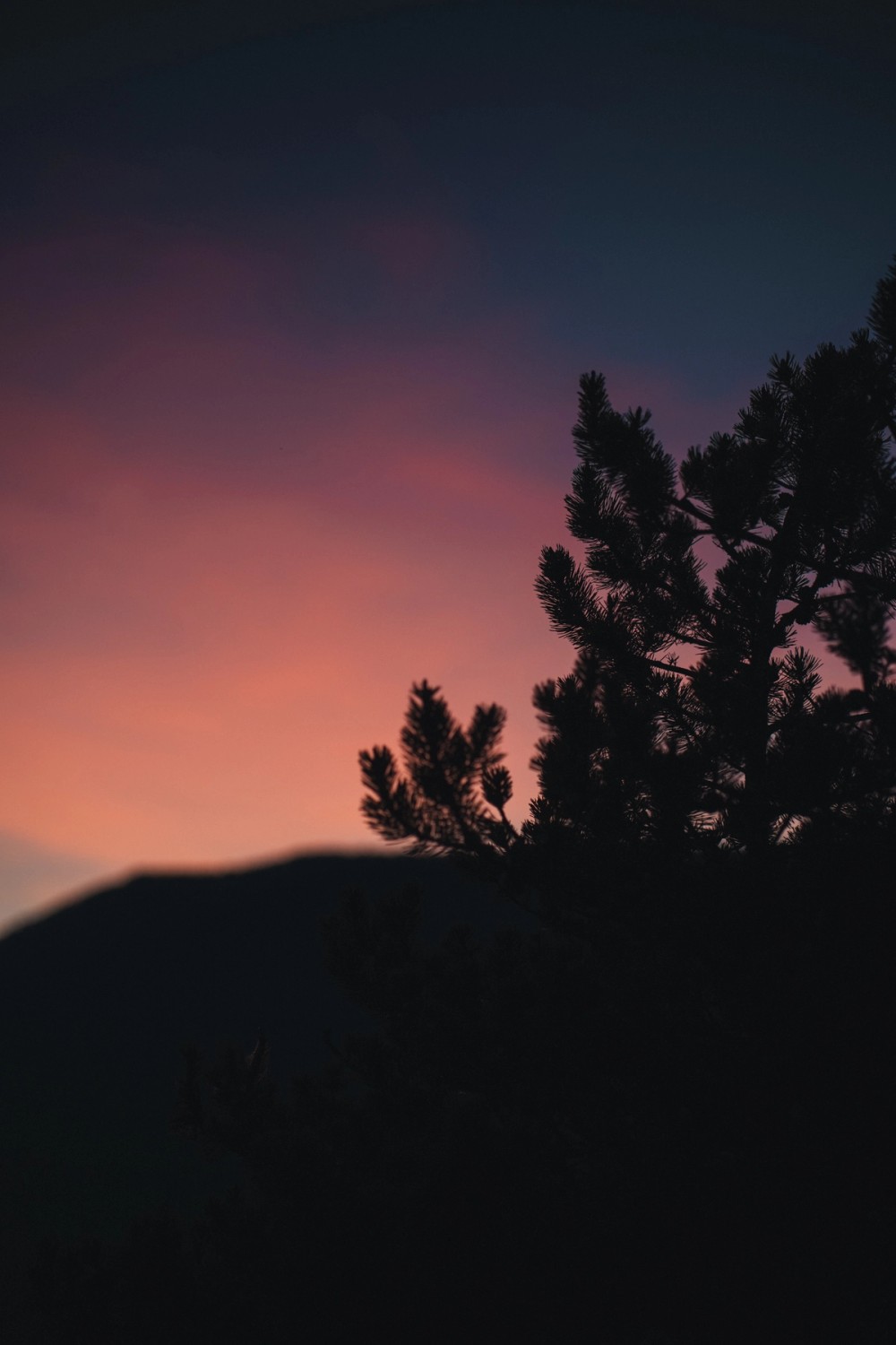 Murrin Park — gallery image