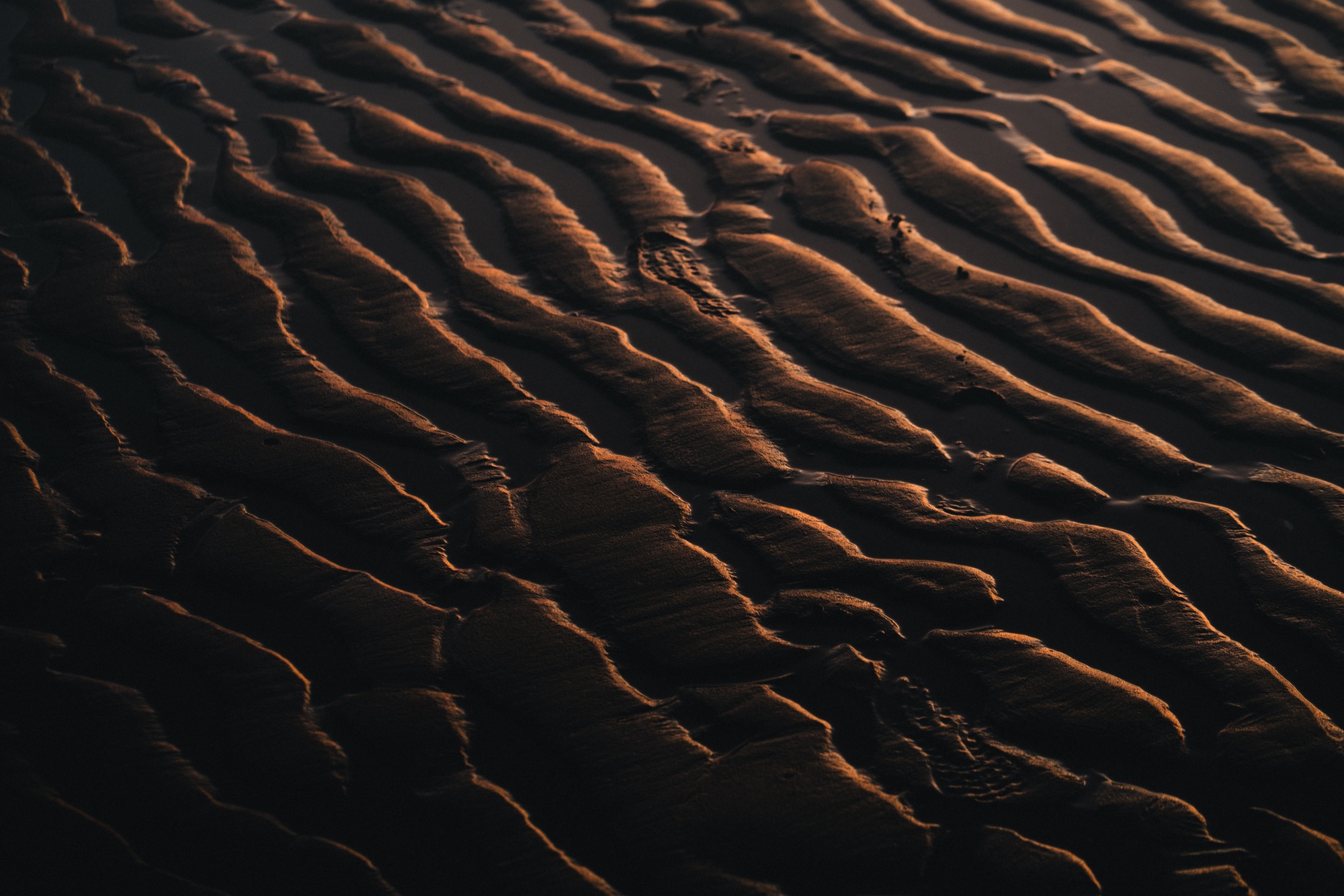 Wreck Beach Sunset